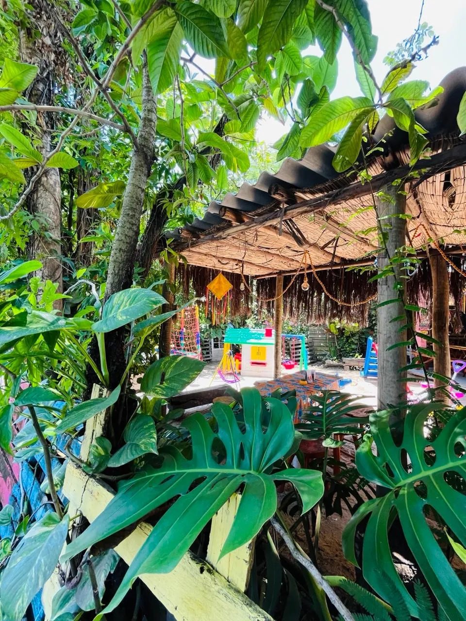 Área coberta de sapê vista entre a vegetação do Dedo de Moça Café da Roça